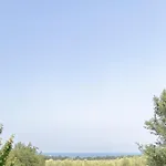 Fiorella 波雷奇