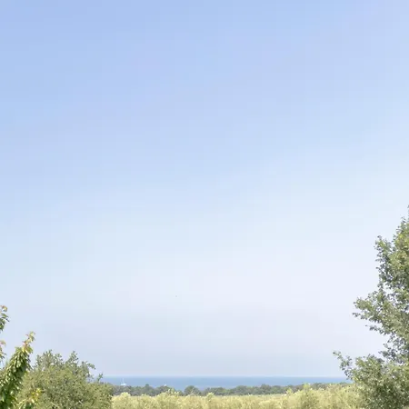 Fiorella بوريتش