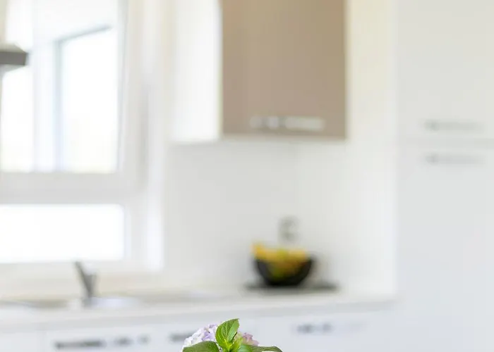 Fiorella Apartmán Poreč