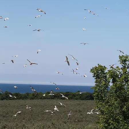 Fiorella Апартаменти